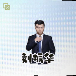 刘振华